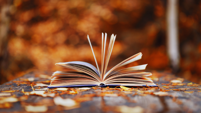 Long Island Bookshops That Make Fall Reading Special | Laffey Real Estate